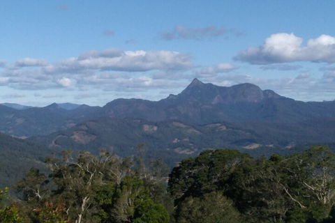 Ruah Rain Forest Retreat - Accommodation Sunshine Coast 2