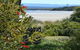 Pelican Bay Bed & Breakfast - thumb 4
