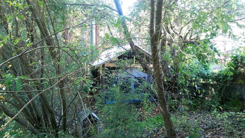 The Black Cockatoo Nannup - Accommodation Sunshine Coast 1