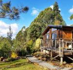 Southern Forest Accommodation - Accommodation Sunshine Coast