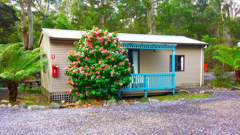 BIG4 Strahan Holiday Retreat - Accommodation Sunshine Coast 6