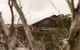Duck Inn Mt Buller - thumb 0