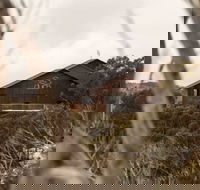 Duck Inn Mt Buller - Accommodation Sunshine Coast