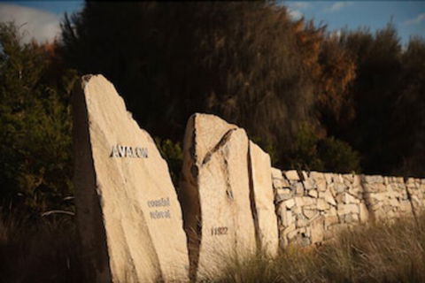 Avalon Coastal Retreat - Accommodation Sunshine Coast 3