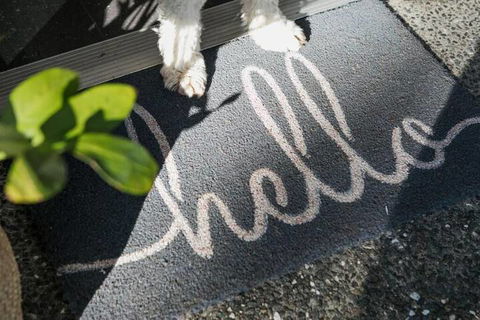 Noosa Heads Motel - Accommodation Sunshine Coast 2