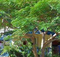 Amber Gardens Guesthouse - Accommodation Sunshine Coast