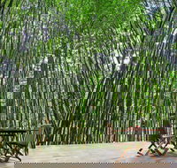 Azabu Boutique Accommodation Byron Bay - Accommodation Sunshine Coast