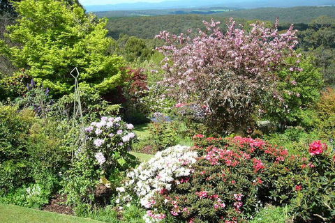 Wanawong Retreat - Accommodation Sunshine Coast 3