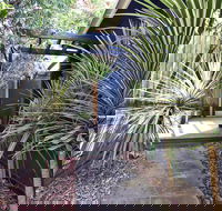 Lornebeach Apartments - Accommodation Sunshine Coast