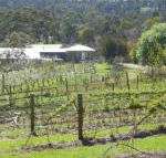 Eureka Farm - Accommodation Sunshine Coast