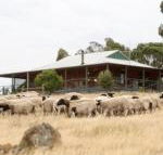 Gilgraves Vineyard Farmstay - Accommodation Sunshine Coast