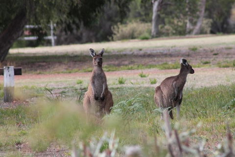 Riverside Retreat Chalets Walpole - Accommodation Sunshine Coast 6