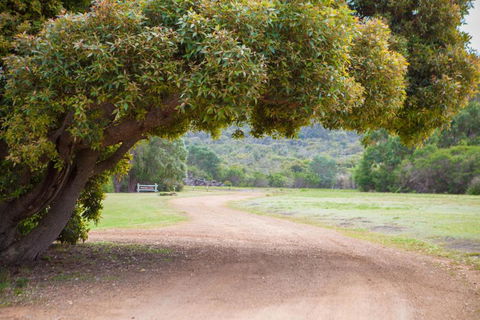Riverside Retreat Chalets Walpole - Accommodation Sunshine Coast 4