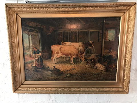 The Dairy - Accommodation Sunshine Coast 1