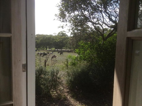 Aashay B & B - Accommodation Sunshine Coast 3