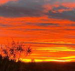 Studio with stunning mountain views - Accommodation Sunshine Coast