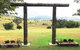 Milford Country Cottages - thumb 6