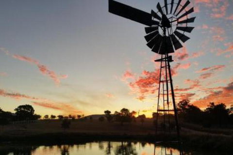 Milford Country Cottages - Accommodation Sunshine Coast 3