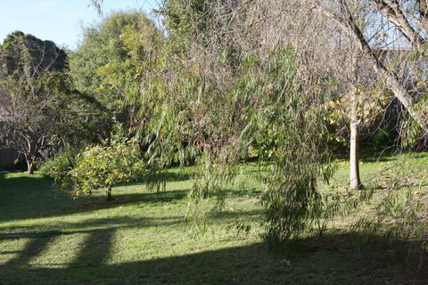 Lytton At Lonnie - Accommodation Sunshine Coast 2