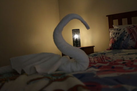 Cozy Stay At Kearsley - Accommodation Sunshine Coast 2
