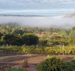 Pecan Hill BNB - Accommodation Sunshine Coast