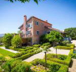 Talits Vineyard Estate - Accommodation Sunshine Coast