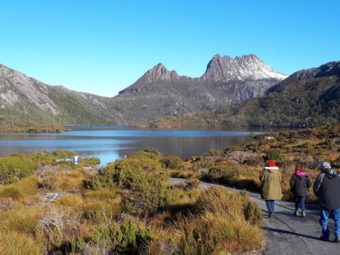 Robins Nest B & B - Accommodation Sunshine Coast 2