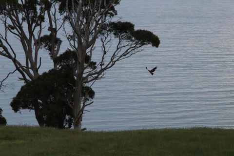 Penguin Seaside Farm - Accommodation Sunshine Coast 6