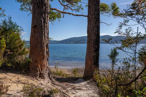 Fairwinds Tasmania - Accommodation Sunshine Coast 6