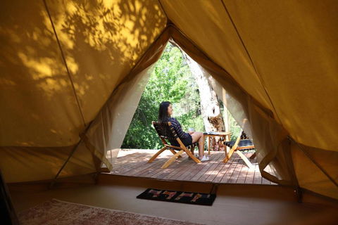 Castlemaine Gardens Luxury Glamping - Accommodation Sunshine Coast 6