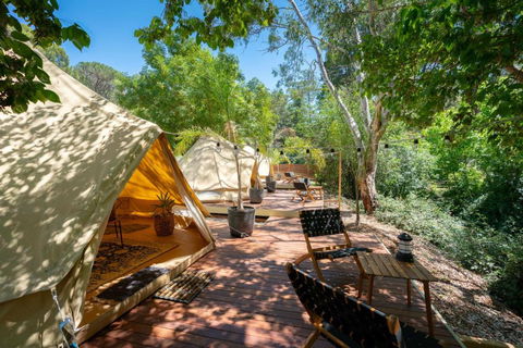 Castlemaine Gardens Luxury Glamping - Accommodation Sunshine Coast 2