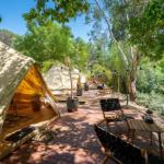 Castlemaine Gardens Luxury Glamping - Accommodation Sunshine Coast 0