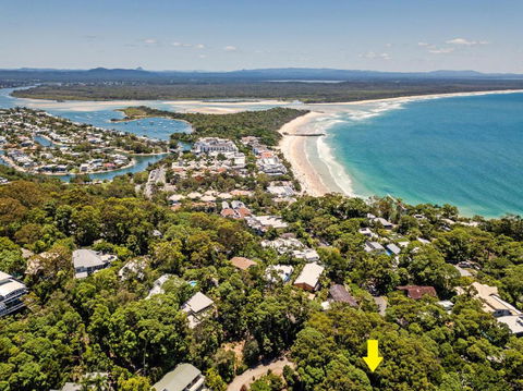 Dual Living Amongst The Rainforest Little Cove - Accommodation Sunshine Coast 2