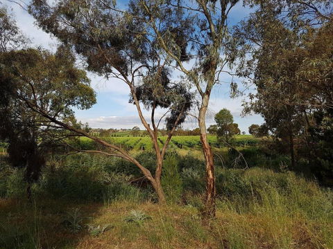 Barossa Glen Henris Cottage Bed & Breakfast - Accommodation Sunshine Coast 6