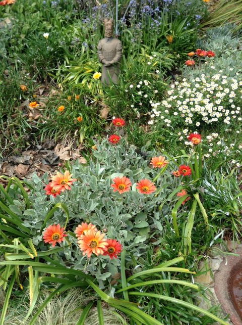 Adelaide Hills B & B Accommodation - Accommodation Sunshine Coast 2