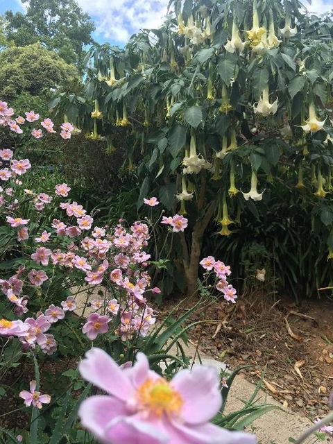 Adelaide Hills B & B Accommodation - Accommodation Sunshine Coast 6