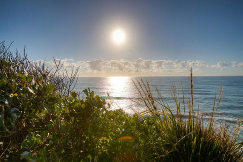 Osprey Sapphire Beach NSW - Accommodation Sunshine Coast 6