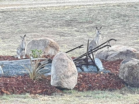 R & R On The Ravine - Accommodation Sunshine Coast 5