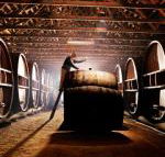 Pieter van Gent Winery  Vineyard - Accommodation Sunshine Coast