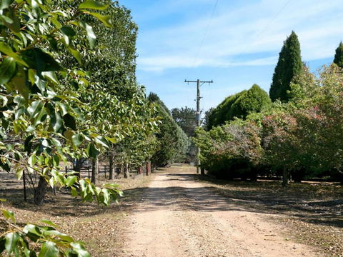Warrington Park Bendooley Hill - Accommodation Sunshine Coast 5