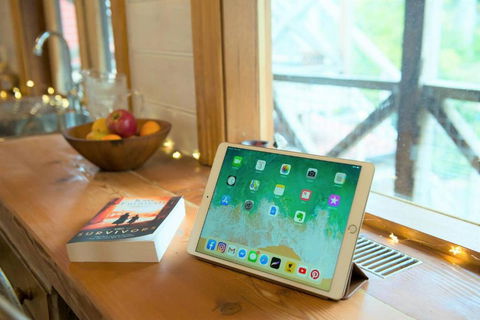 Adelaide Hills Camellia Cottage WiFi - Accommodation Sunshine Coast 4