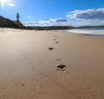 Surfers Paradise at Catherine Hill Bay - Accommodation Sunshine Coast