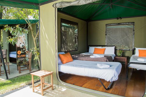 Roar And Snore At Taronga Zoo Sydney - Accommodation Sunshine Coast 1