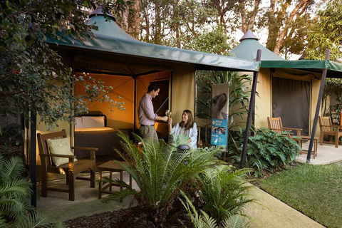 Roar And Snore At Taronga Zoo Sydney - Accommodation Sunshine Coast 4