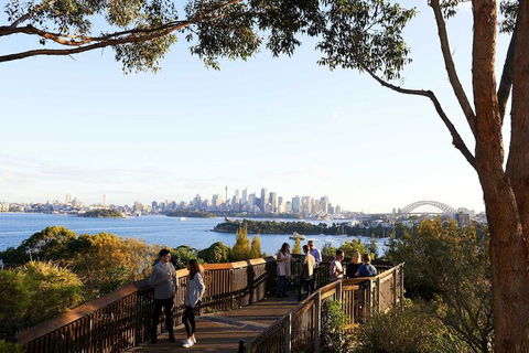 Roar And Snore At Taronga Zoo Sydney - Accommodation Sunshine Coast 6
