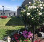 Velika - Accommodation Sunshine Coast