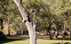 El Questro Emma Gorge Resort - thumb 4