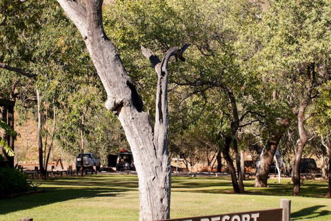 El Questro Emma Gorge Resort - Accommodation Sunshine Coast 4