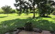 Gumtree On Gillies Bed & Breakfast - thumb 6