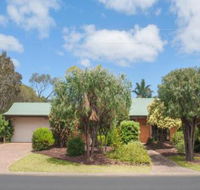 Bottlebrush - Accommodation Sunshine Coast